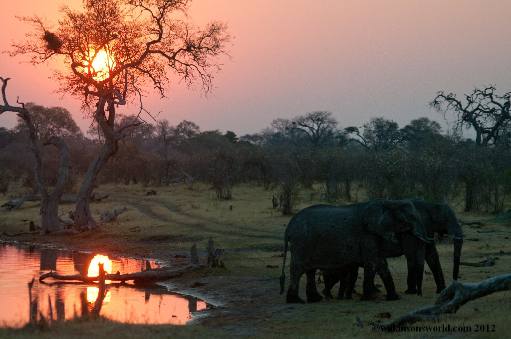 mudumu national park 1