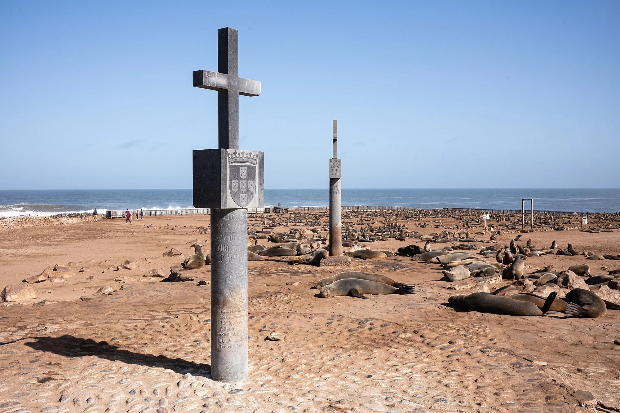 2024 06 01 cape cross l1002352