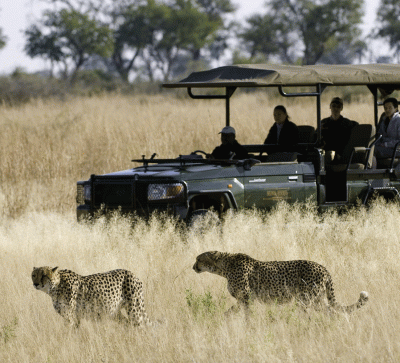 african travels safari 1500 400x363