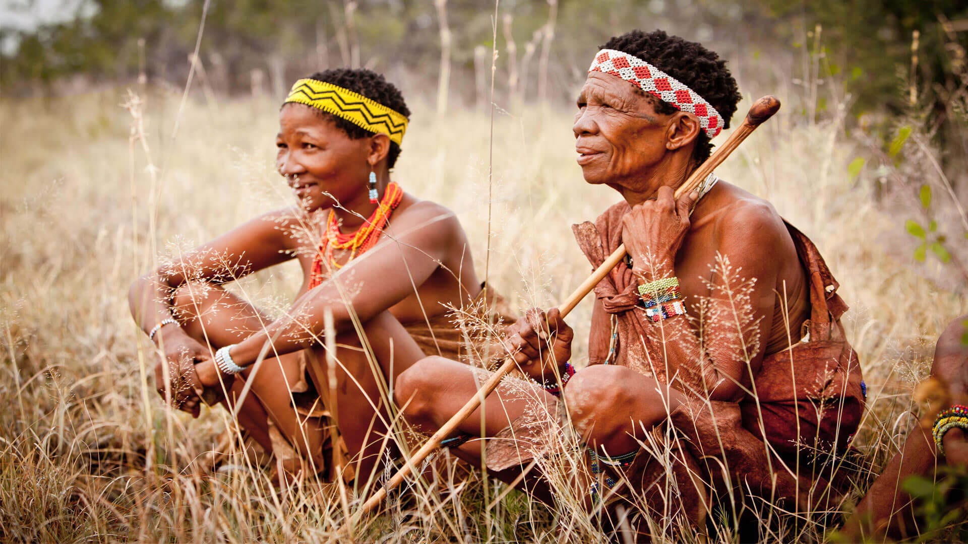 bushman sitting