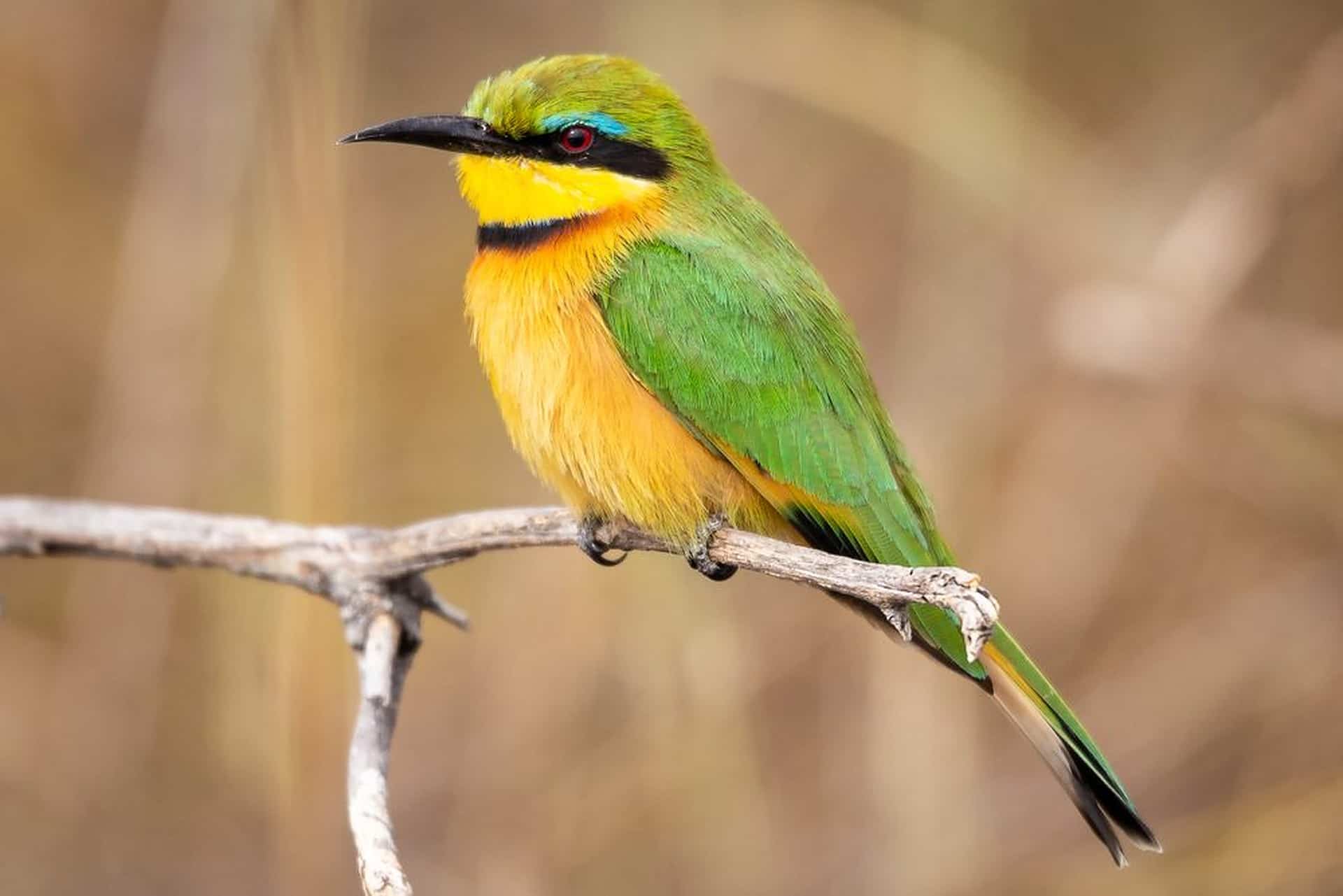 mudumu national parkjpg 4