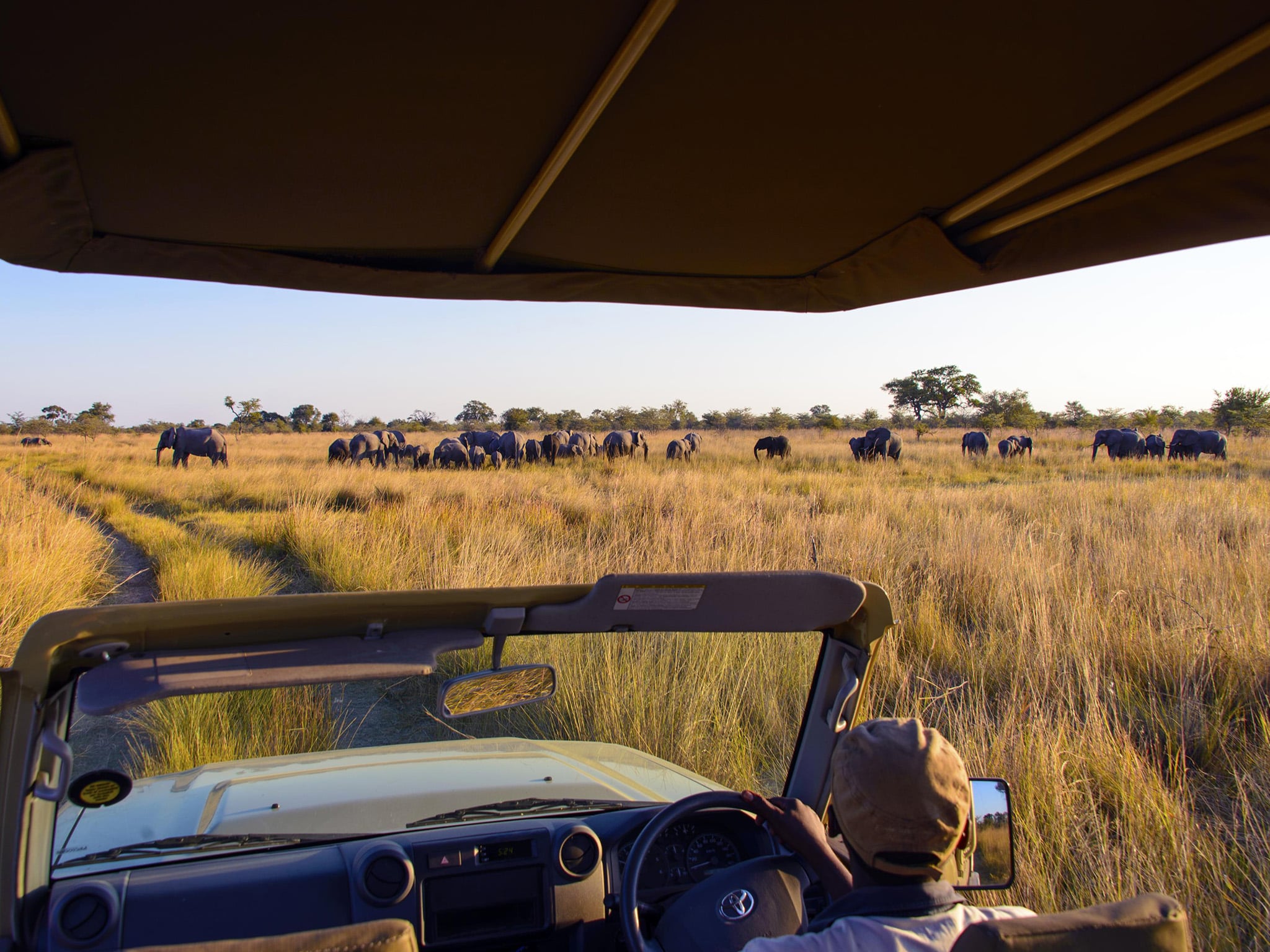 game drive 2