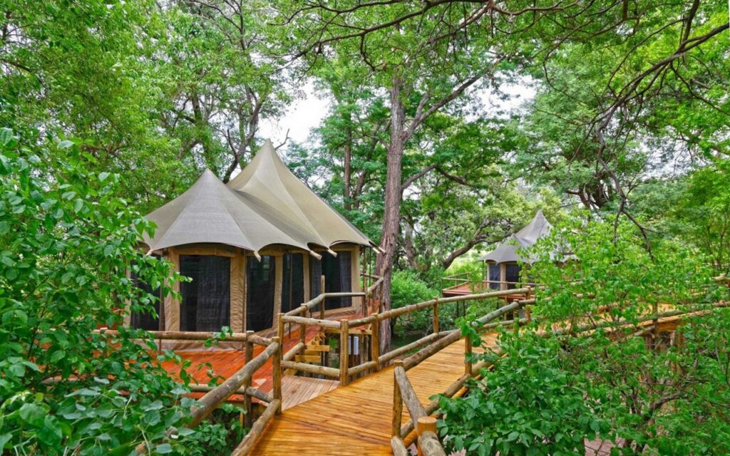 nambwa tented lodge boardwalk