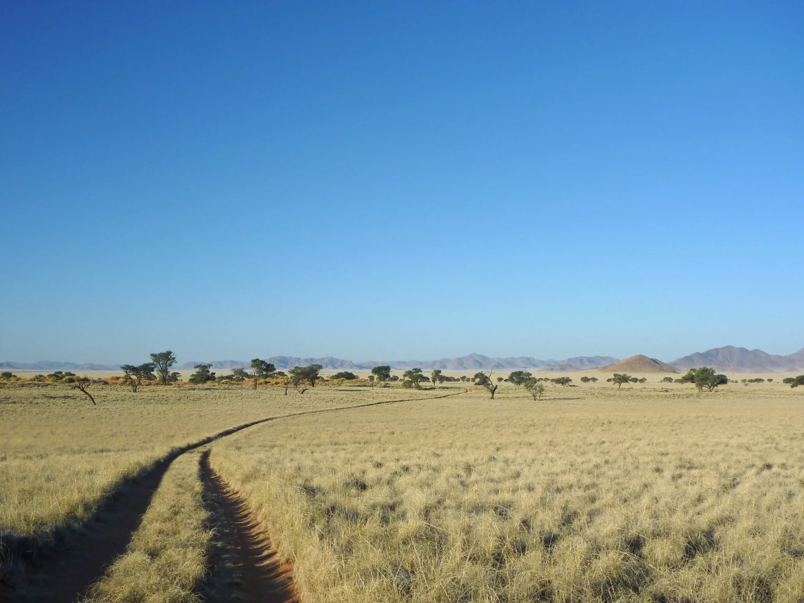 namibrand track